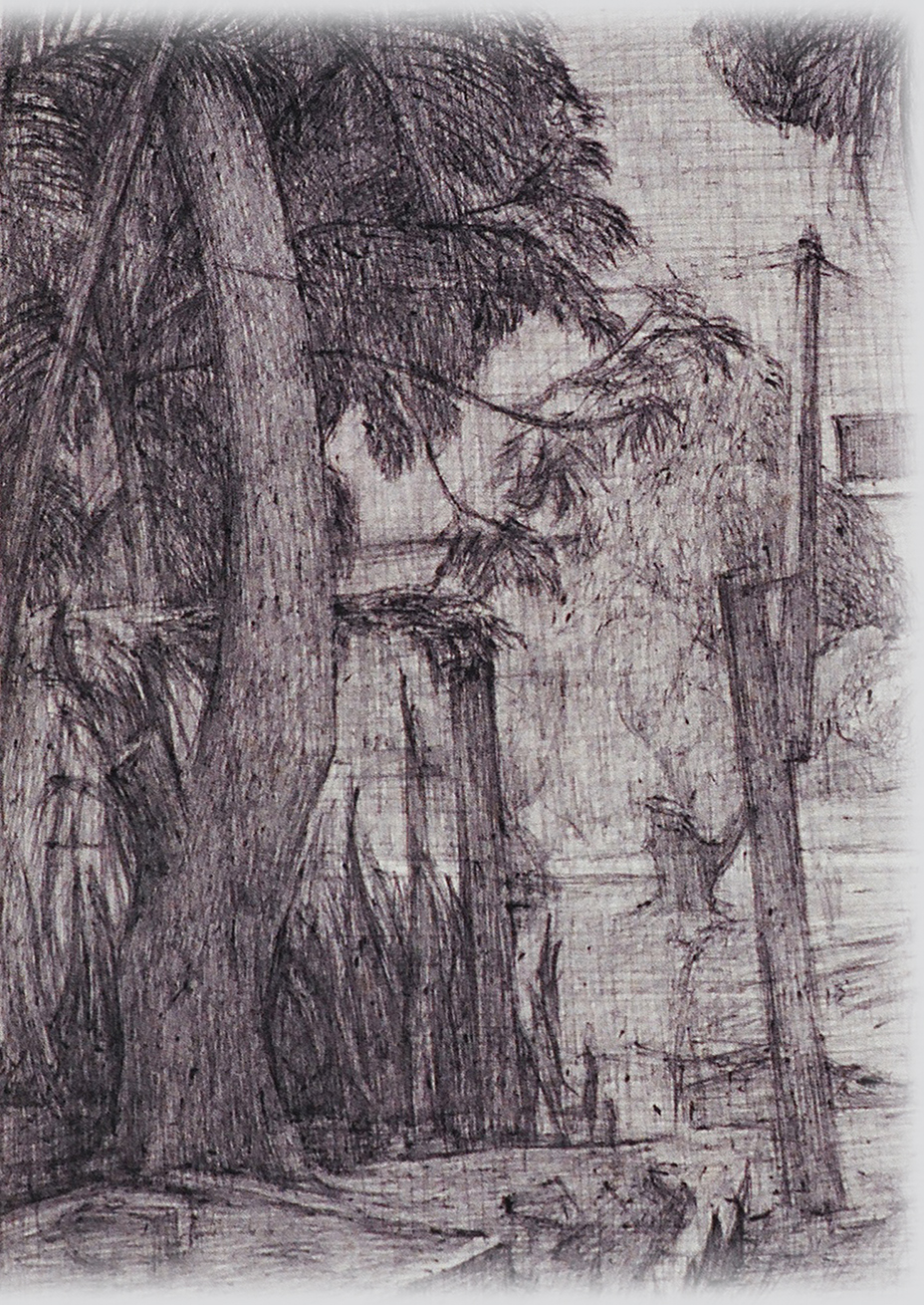 Picture