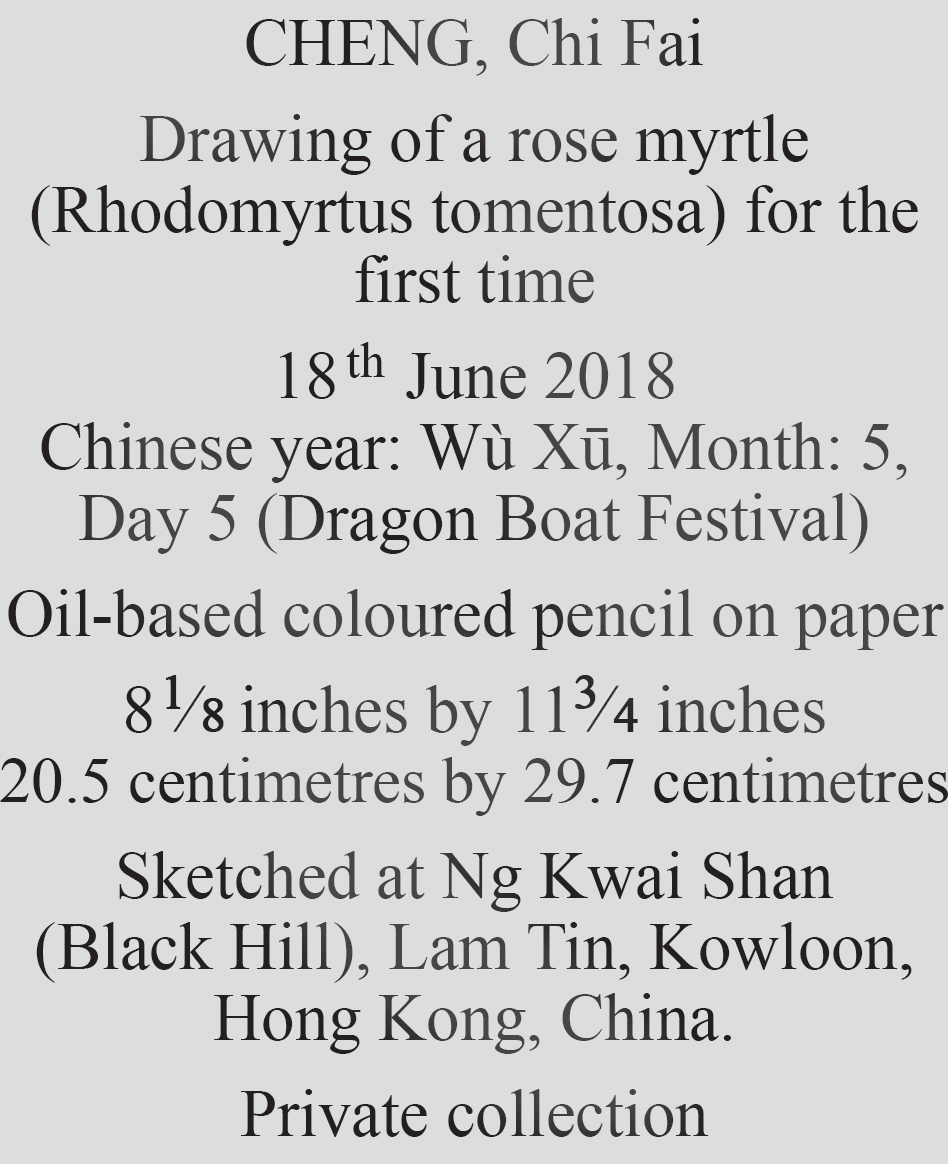 Text
