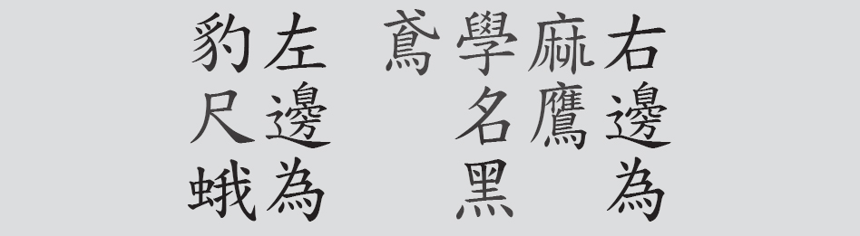 Text