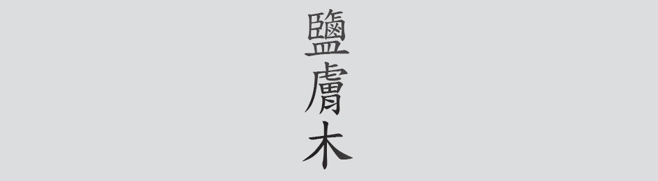 Text