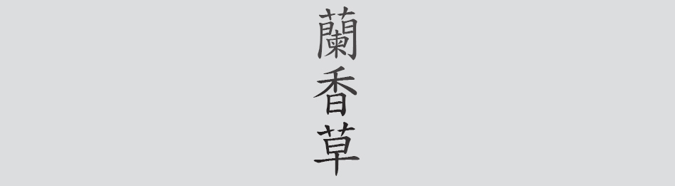 Text