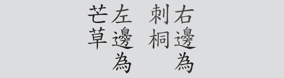 Text