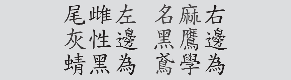 Text