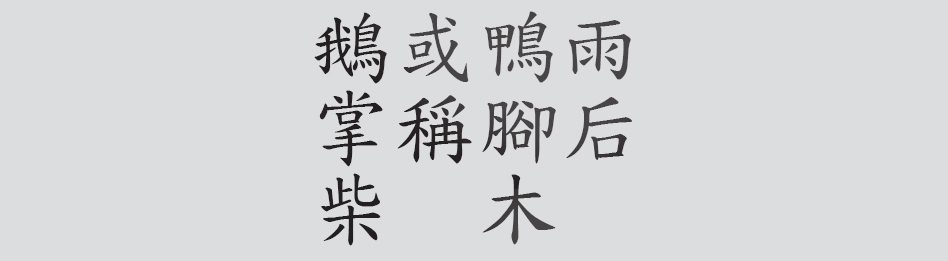 Text