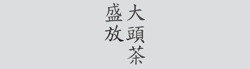 Text