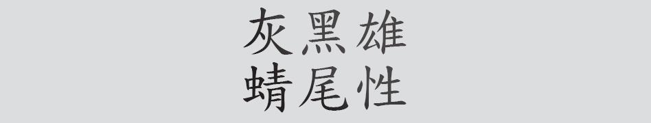 Text