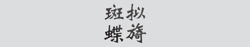 Text