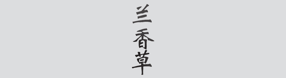 Text