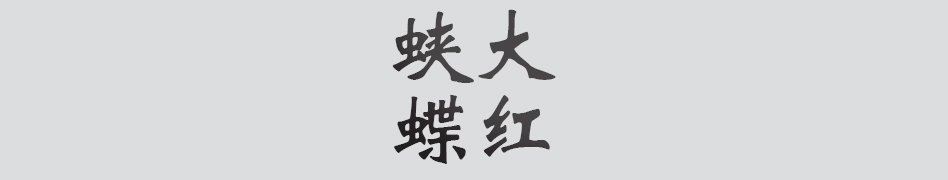 Text