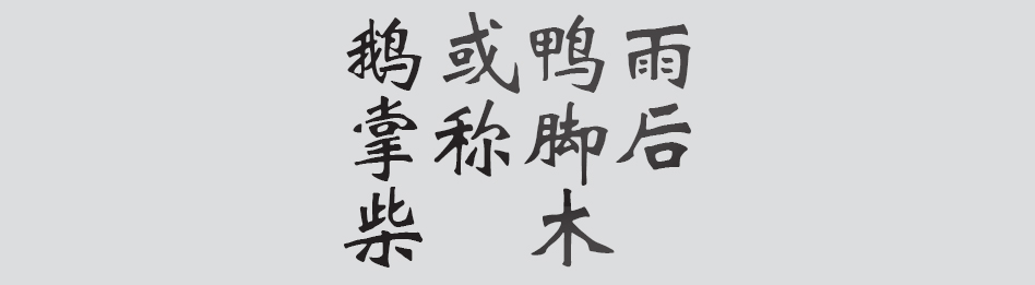 Text