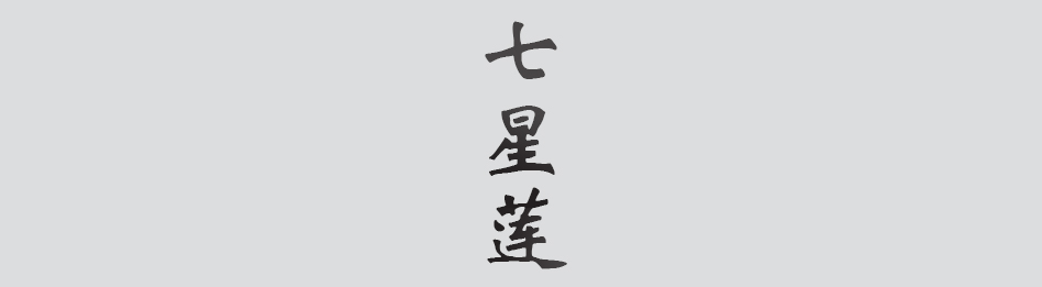 Text