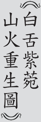 Text