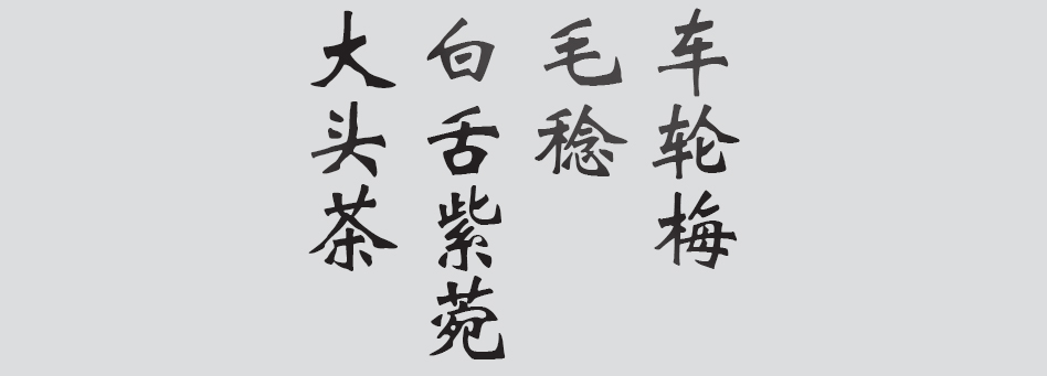 Text